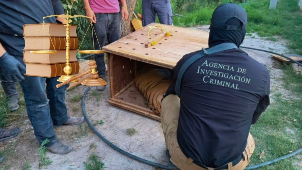 Tener tigres, changos o animales exóticos en casa puede costar millones… y hasta cárcel