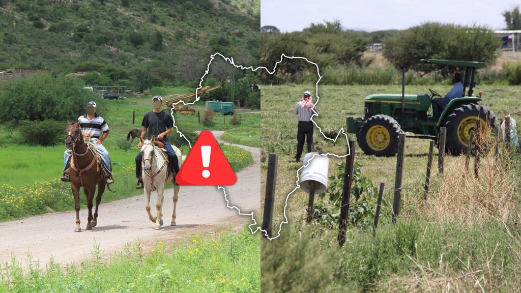 Cada vez menos jóvenes se quedan a trabajar en el campo de Durango