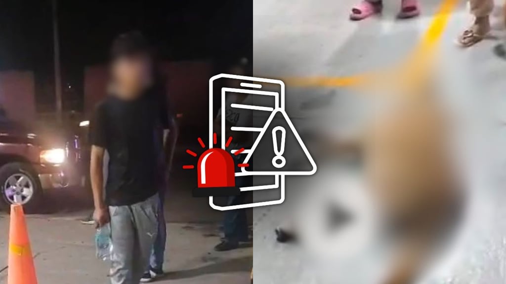Denuncian a joven por atropellar y matar a perrito que dormía cerca del CCH; presuntamente estaba ebrio