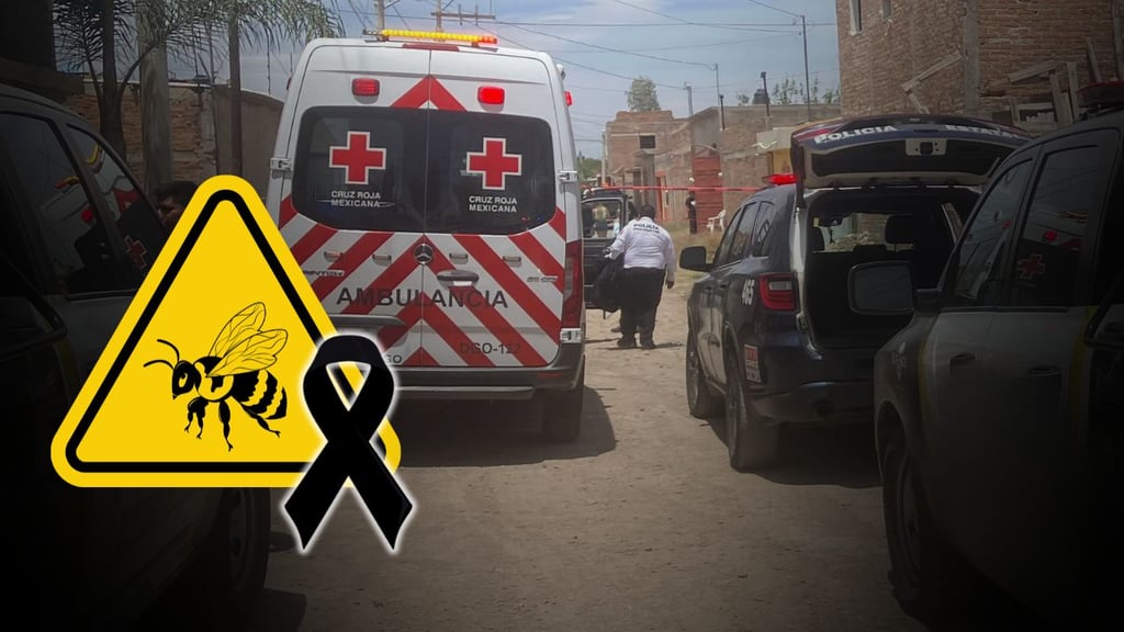 Joven hombre muere tras picadura de dos abejas en Guadalupe Victoria
