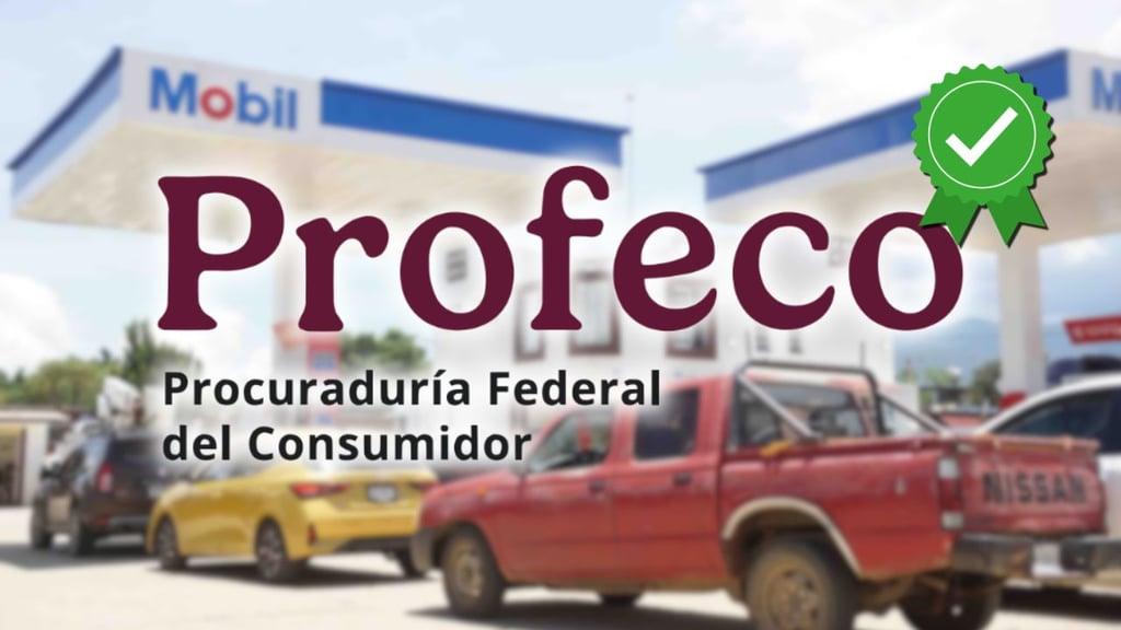 (Canva, archivo)