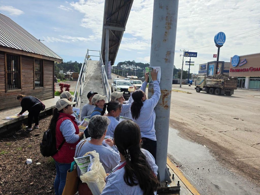 Colectivos de Durango gestionan acompañamiento para jornadas de búsqueda en Sinaloa