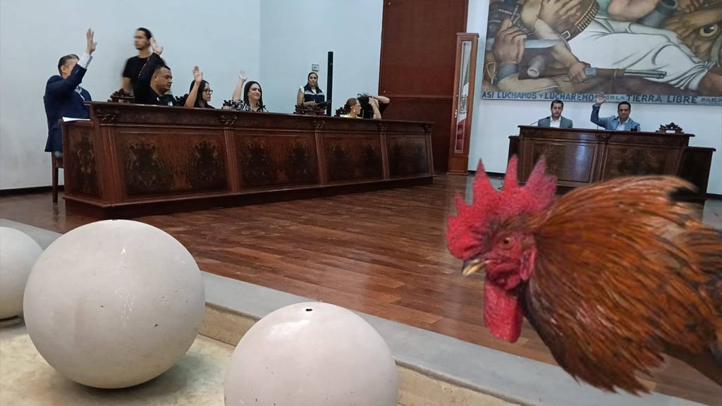 Incongruencia del Cabildo de Durango al aprobar peleas de gallos en la Feria: protectores de animales