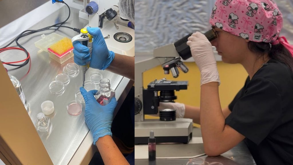 Premian investigación del IMSS Durango sobre diabetes gestacional