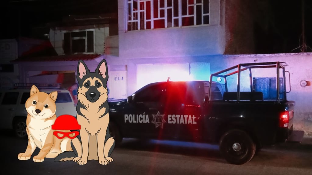 Roban dos perros tras irrumpir en vivienda de la colonia Azcapotzalco