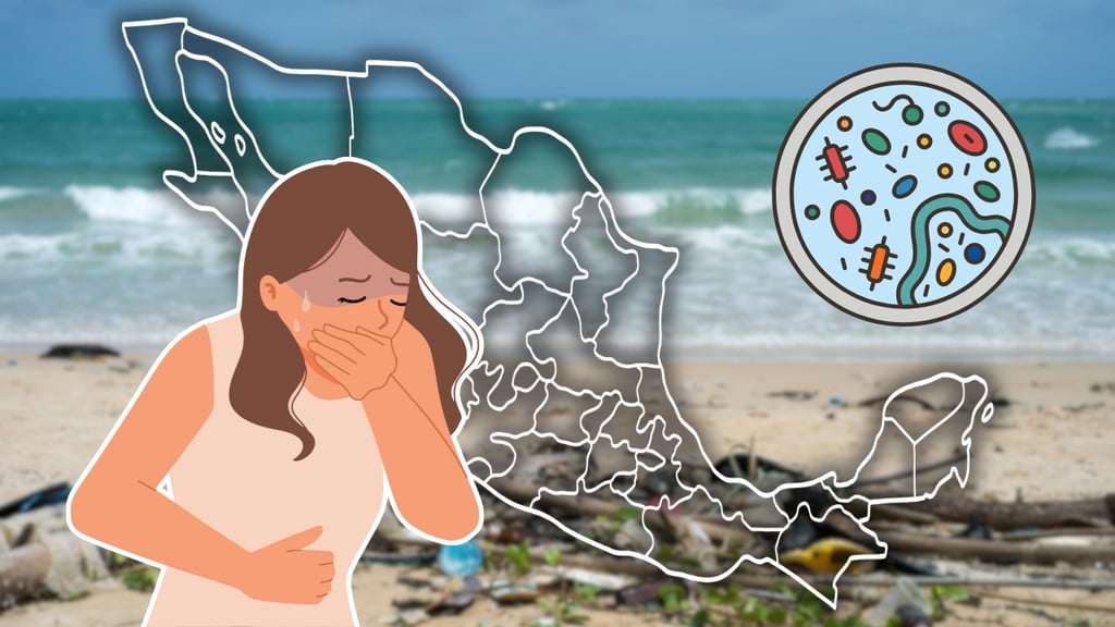 Verano 2026: ¿Vacaciones en la playa? ¡Cuidado! Estas fueron calificadas como 'no aptas' para nadar