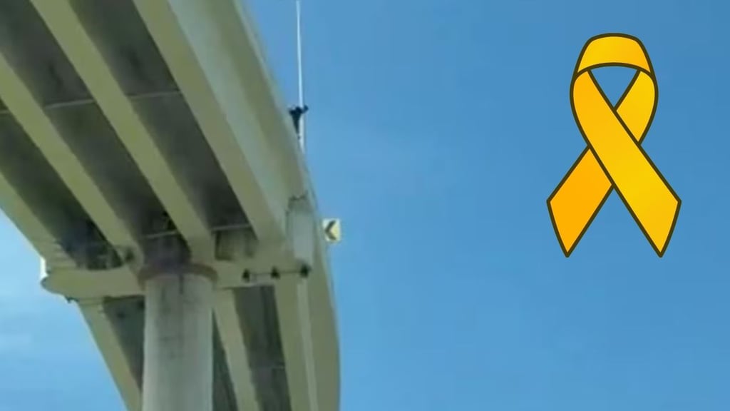 Captura de Pantalla
