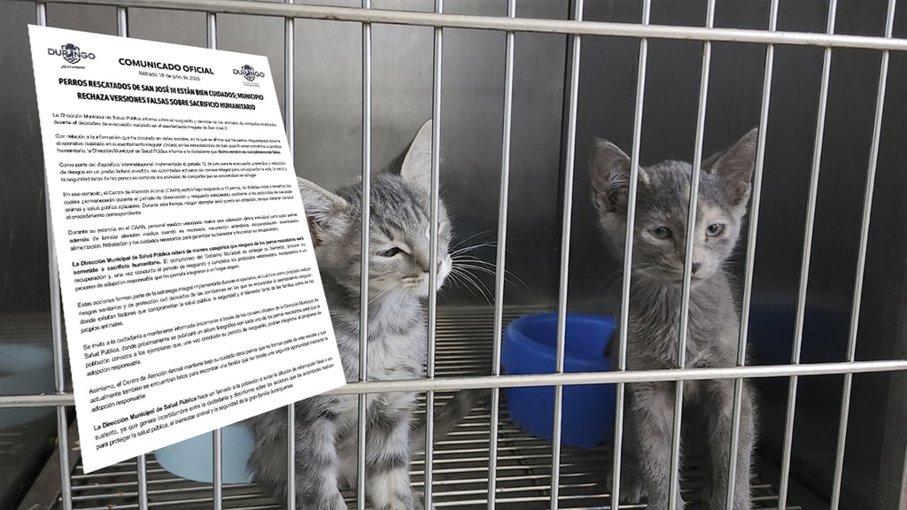 Rechaza Municipio de Durango que perritos de San José III vayan a ser sacrificados