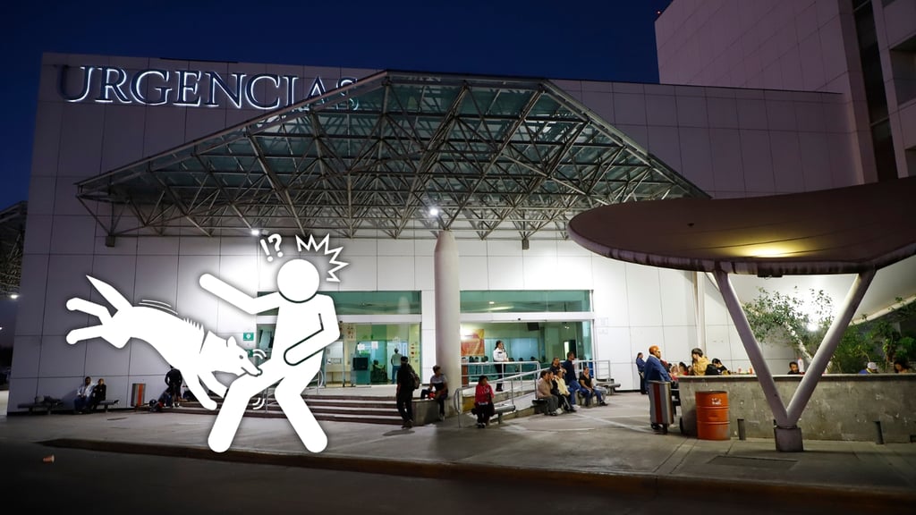 Joven termina hospitalizado tras ser atacado por un perro y agredido con una piedra en Durango