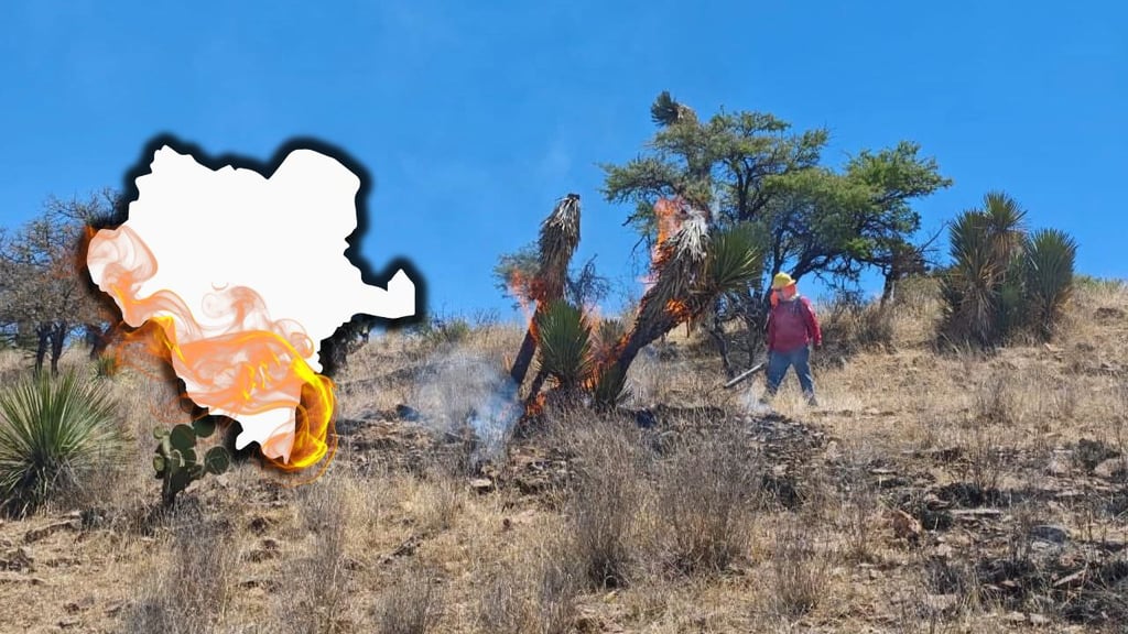 Durango, con menos incendios forestales durante 2026