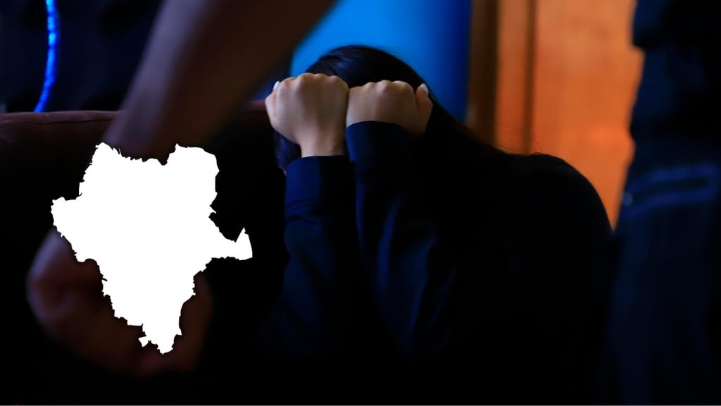 Durango registra su cifra más alta de violencia familiar en 2026; van más de 2 mil 600 casos