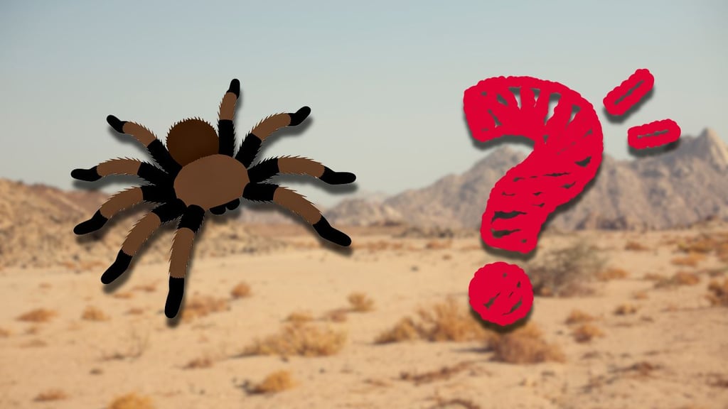 (Canva)