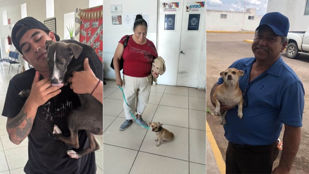 Al menos cinco perritos que estaban resguardados en el CAAN ya tienen un hogar