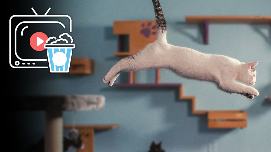 Cinco programas imprescindibles para quienes aman a los gatos