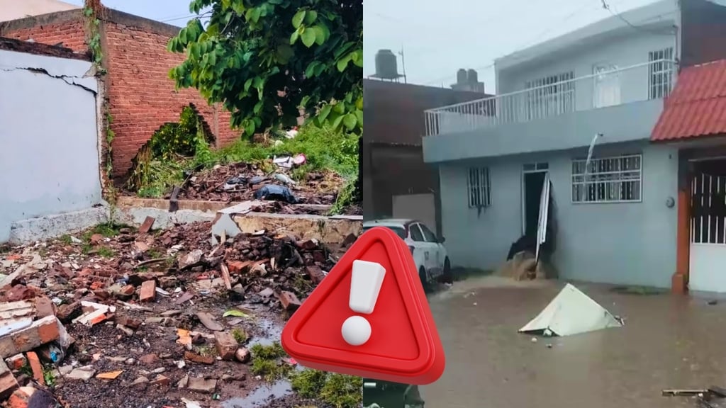 Perdió su patrimonio y a sus perritos en la tromba, pero no la esperanza