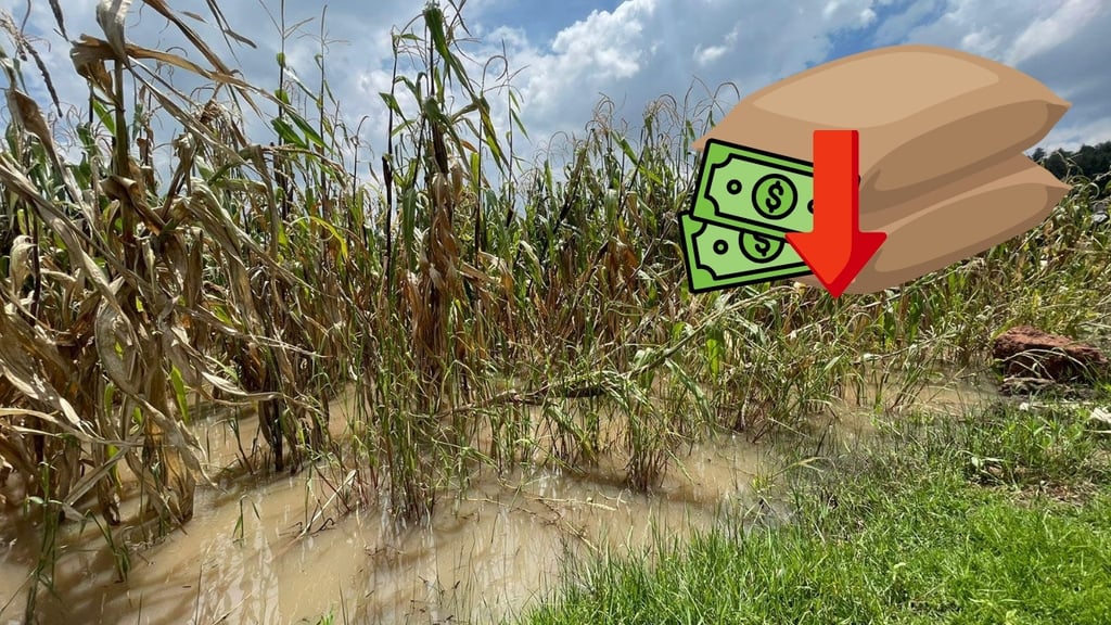 Advierten rezago presupuestal para el sector agropecuario duranguense