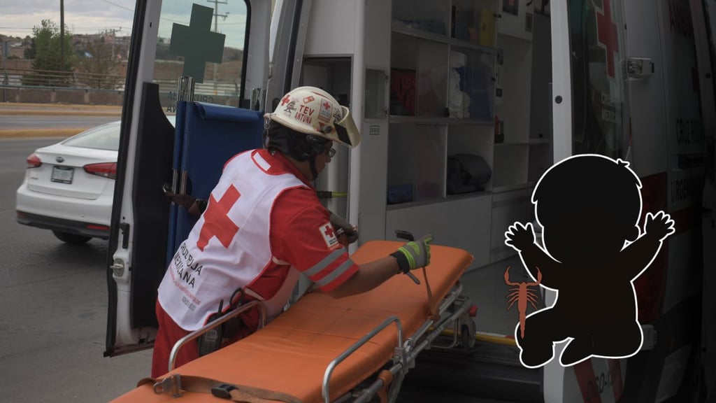 Muere niño de 3 años por picadura de alacrán durante un día de campo en Topia
