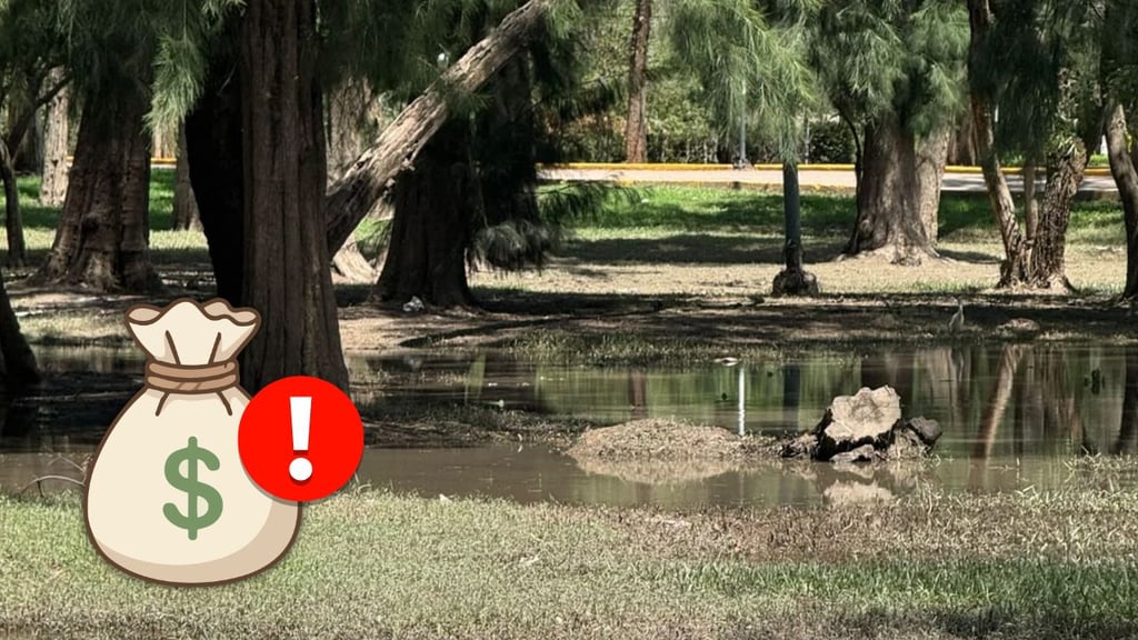 Cuestionan destino de 45 mdp para mantenimiento de Parques en Durango