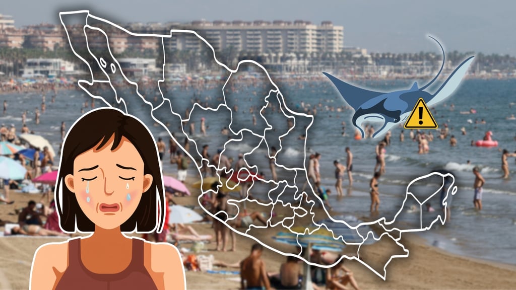 ¿Vas de vacaciones? Conoce en qué playas de México hay alerta por picaduras de mantarraya