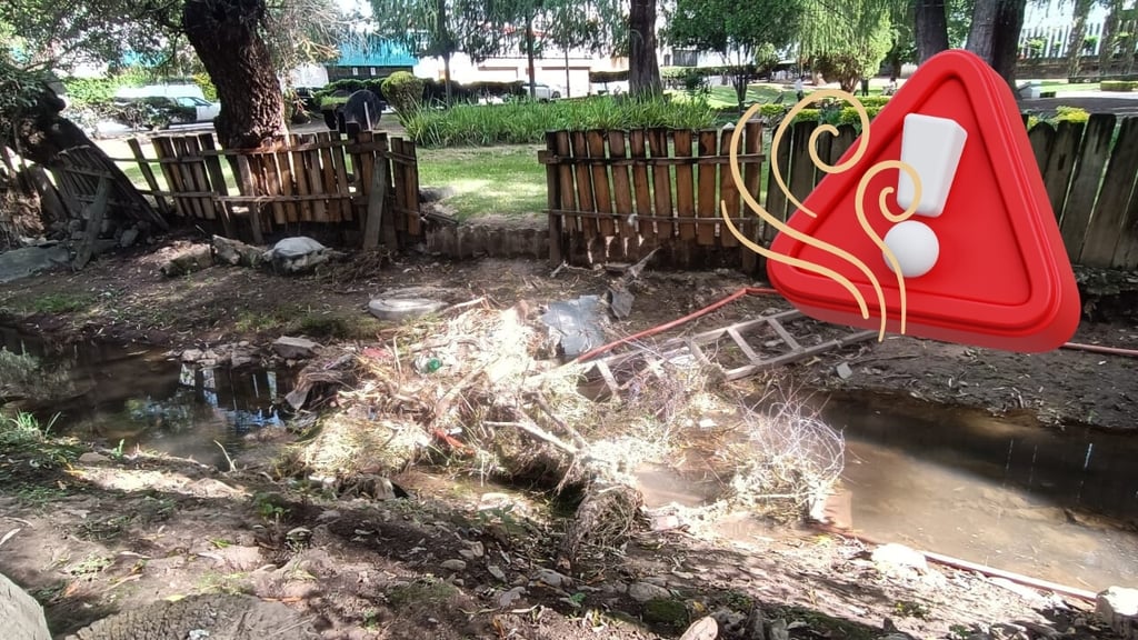 Reportan malos olores y zonas destruidas en el Parque Guadiana tras las lluvias