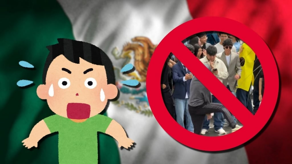 (Canva, redes sociales)