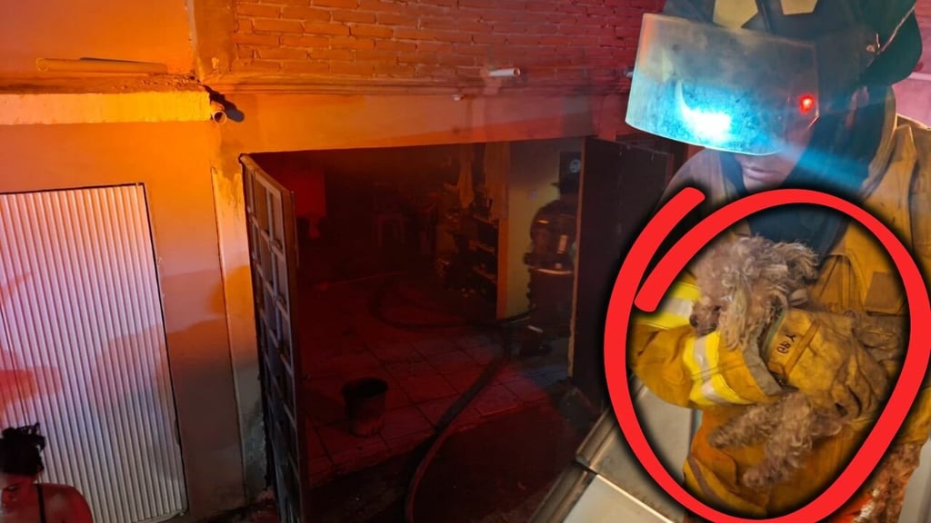 Incendio consume parte de una vivienda en la Lucio Cabañas; bomberos rescatan a un perro