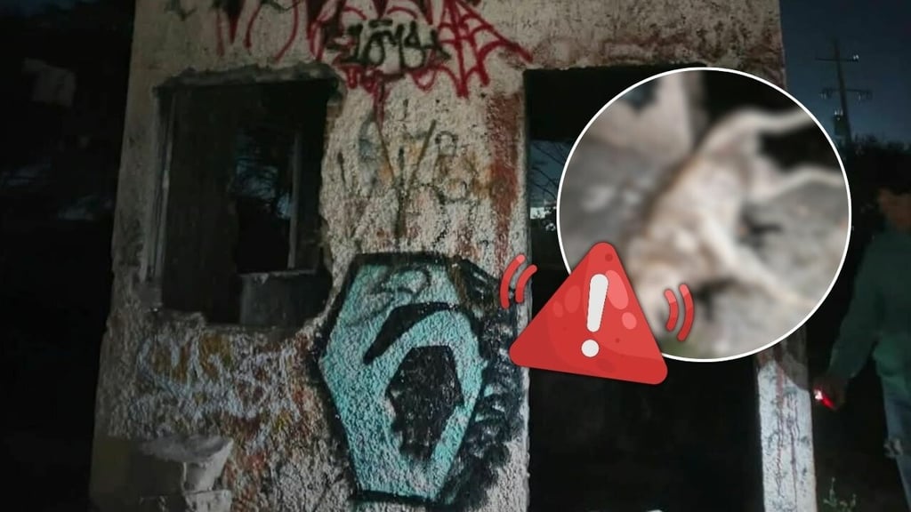 Piden investigar caso de crueldad animal contra perrita cerca del Hospital del Niño 460
