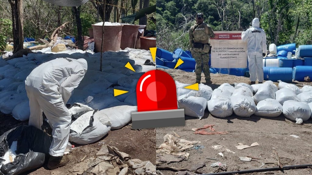 Inhabilitan mega narcolaboratorio a 'Los Chapitos' en Sinaloa; aseguran 16.8 toneladas de droga
