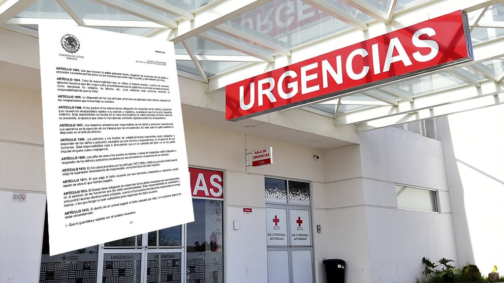 ¿El dueño es responsable si su perro ataca a una persona? Esto dice la ley en Durango