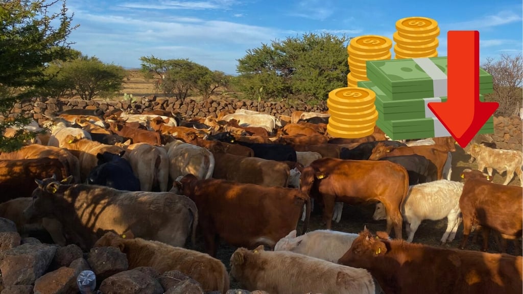 Ganado duranguense pierde 20 pesos por kilo ante cierre de frontera