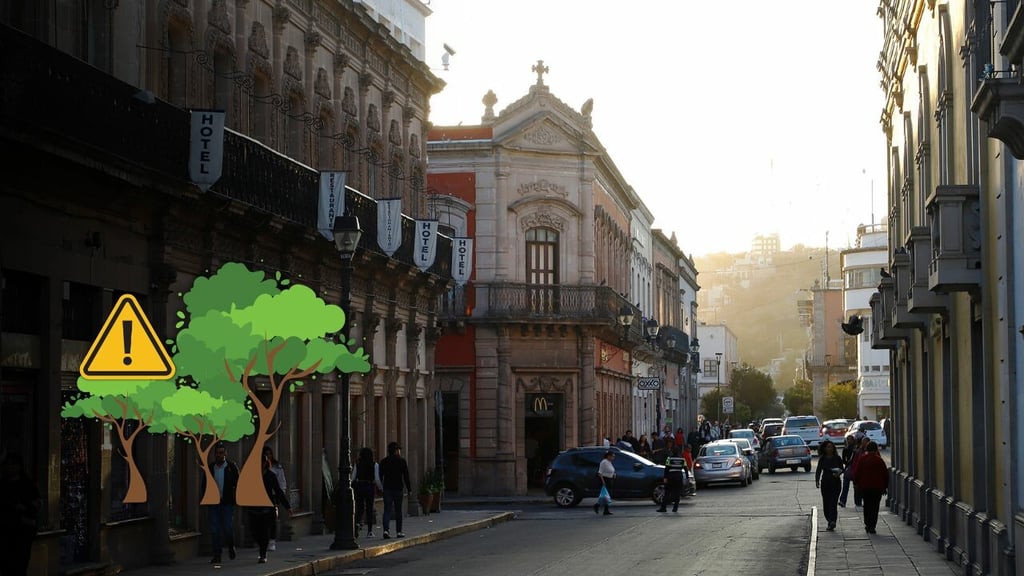 Centro Histórico de Durango sí requiere reposición de arbolado