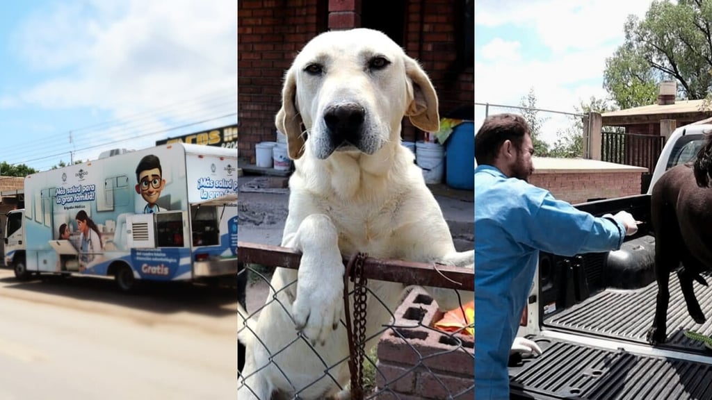 Acuden a colonias y localidades duranguenses a brindar atención médica a las mascotas