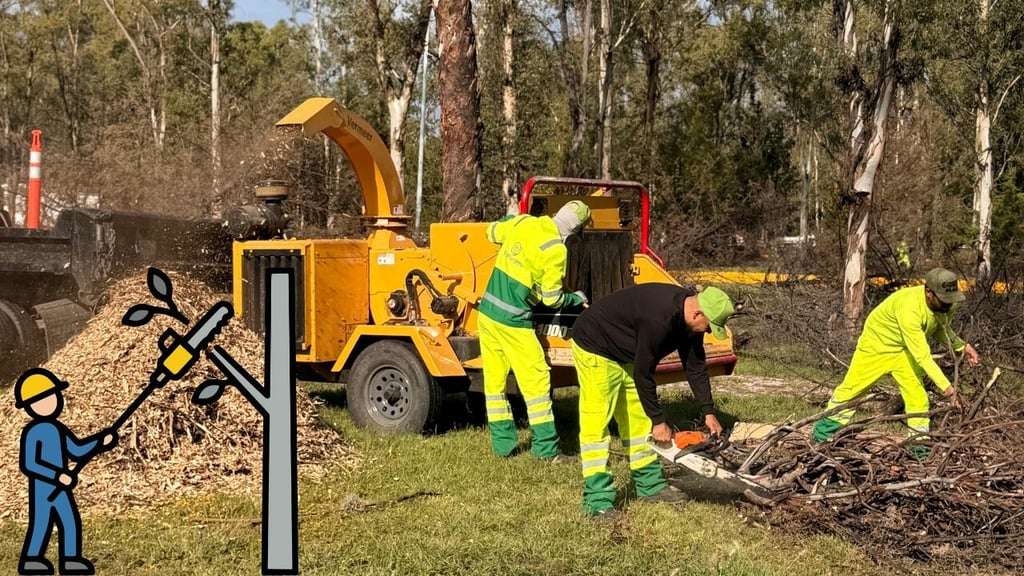 Prevén retirar otros 100 árboles con riesgo de caer, en Parque Sahuatoba