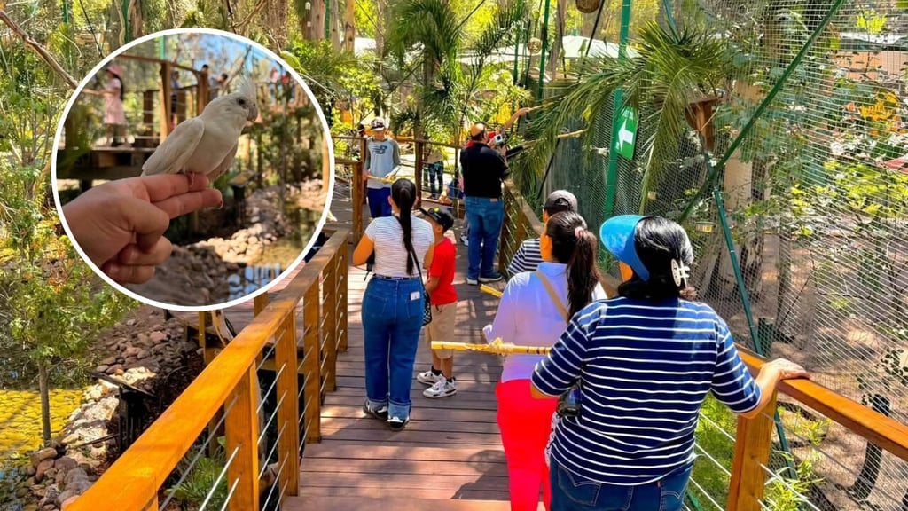 El Zoológico Sahuatoba cuenta con un nuevo espacio para aves