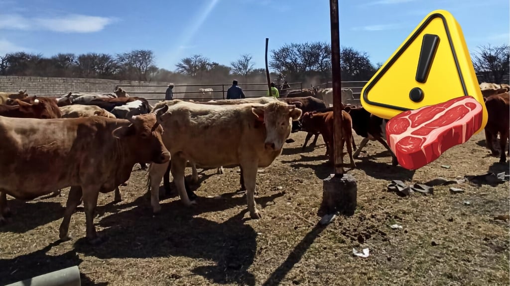 Ganaderos duranguenses alertan por exceso de carne brasileña en México, temen 'huachicoleo'