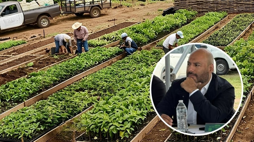 Sembrando Vida fortalece al campo de Durango con mil 572 mdp en este 2026: Iván Gurrola