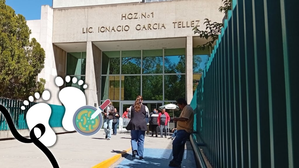 Esta es la bacteria que fue detectada en 4 de los 5 bebés que fallecieron en el IMSS de Durango
