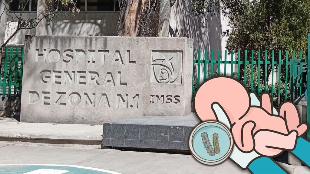 ¿Cómo se transmite la Klebsiella pneumoniae, bacteria detectada en 4 bebés que murieron en IMSS Durango?