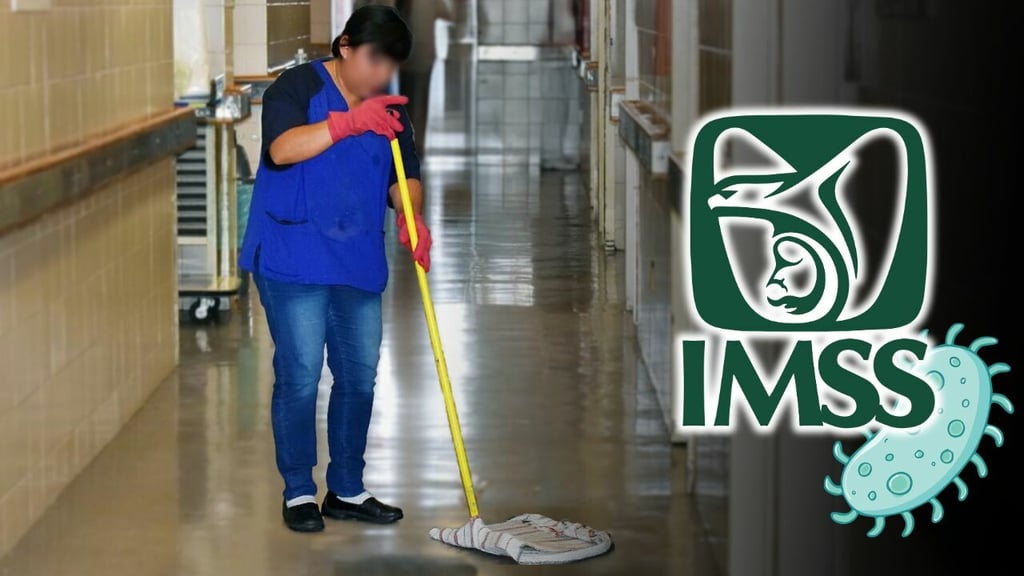 Cuando yo estaba la limpieza 'era mística' en el IMSS: senadora tras muerte de bebés en Durango