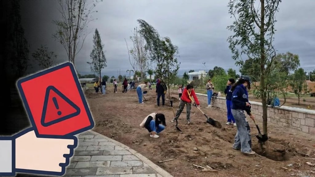 Proponen endurecer reglas por derribar árboles en el estado de Durango