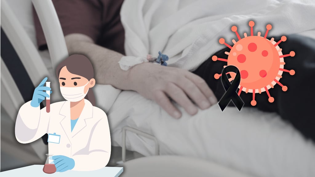Detectan primer caso humano de virus shamonda en paciente que murió, ¿qué es y cómo se transmite?