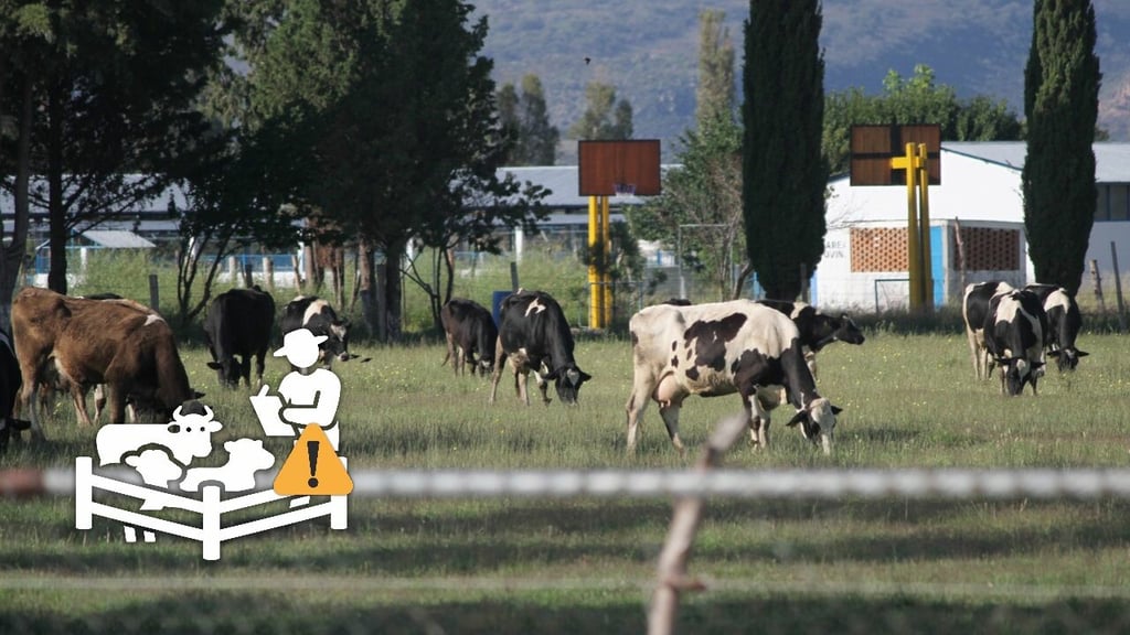 Hay apatía de las nuevas generaciones por continuar con empresas ganaderas: UGRD