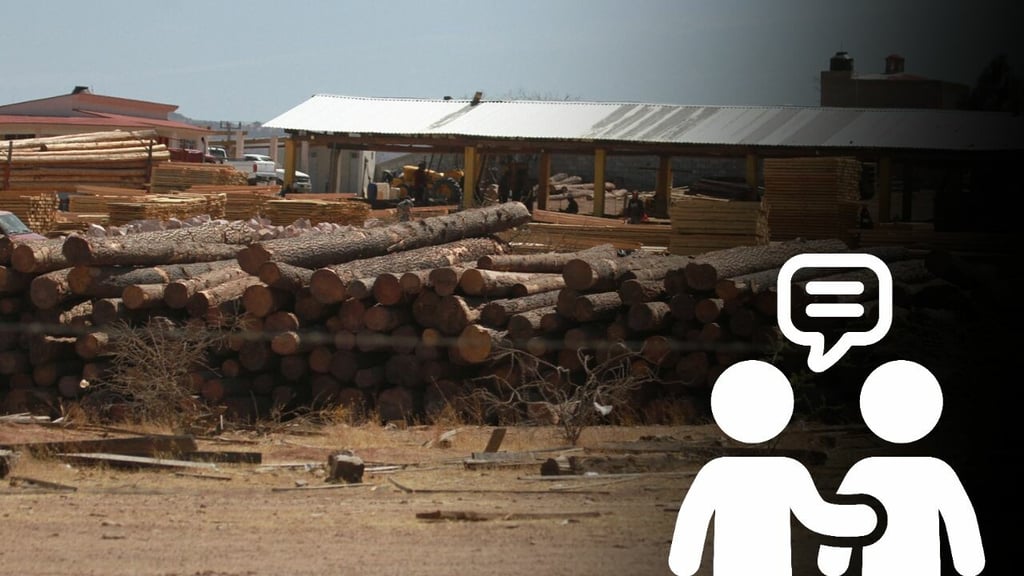 Consejo Estatal Forestal y de Suelos incorporará a más mujeres en Durango