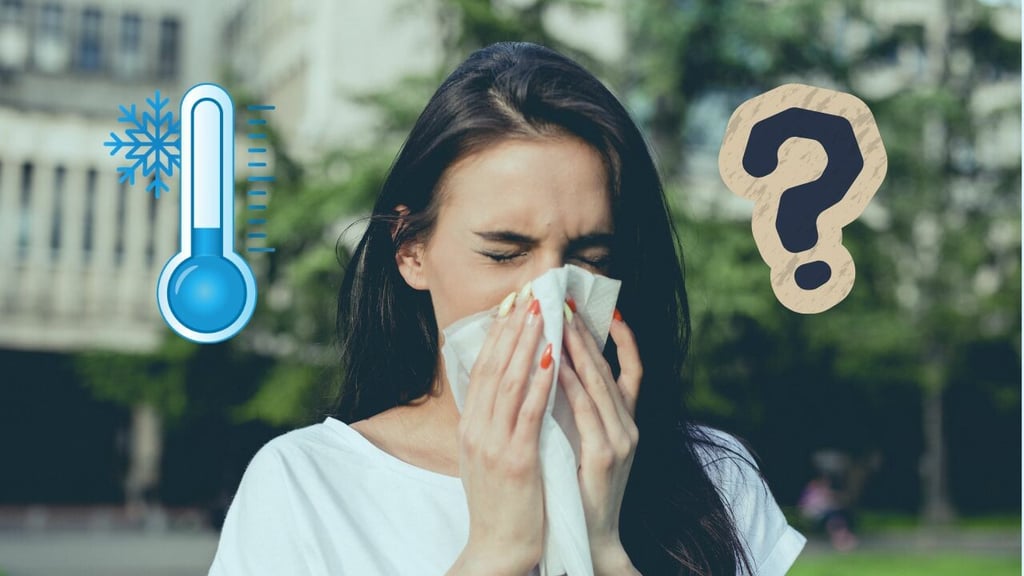 No es gripe, es alergia: ¿Por qué los síntomas respiratorios empeoran en invierno?