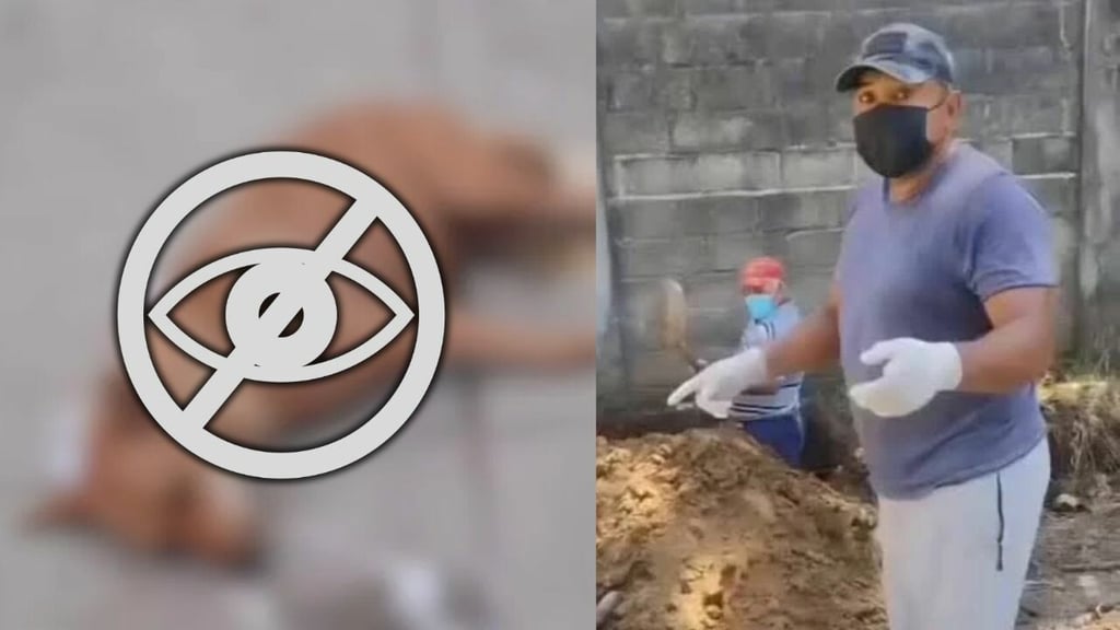 Envenenan a 25 perros en Chiapas, ¿qué se sabe al respecto?