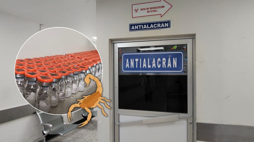 Hospital Materno Infantil ha atendido 5 mil 800 picaduras de alacrán en lo que va de 2026
