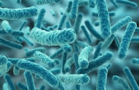 Encuentran un vínculo entre bacterias intestinales y la depresión
