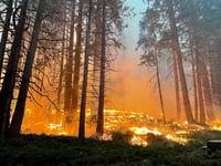 Incendio que amenaza el parque de Yosemite tuvo un origen humano