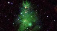 La Nasa capta un grupo de estrellas con la apariencia de un árbol de Navidad