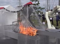 Diseñan un robot para apagar incendios inspirado en los dragones voladores